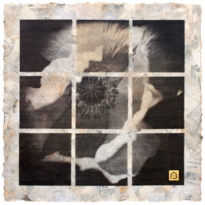 Last Walk by Attasalina X 