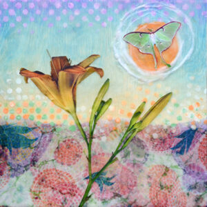 Daylily Daydream by Carolyn Berry 