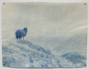 Longing for the Sea, East Sooke, BC, Canada, 2024 by Esha Chiocchio 