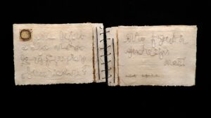 The Last Chapter by Ilse Bolle 