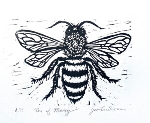 Javelina by Jessi Cross 