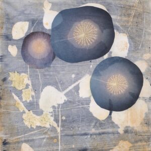 OCULUS by Kathleen McCloud 