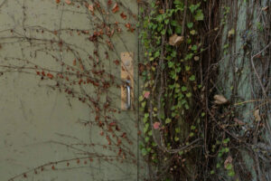 a good day by Natalie Christensen 