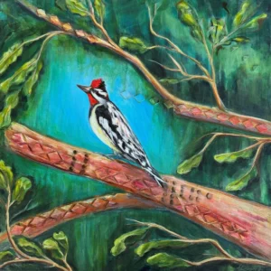 Bishkinik by Amanda Lawson 