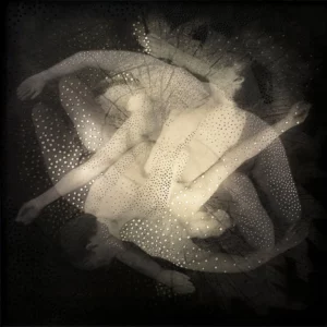 Surrender (Contact Series) by Carol Coates 