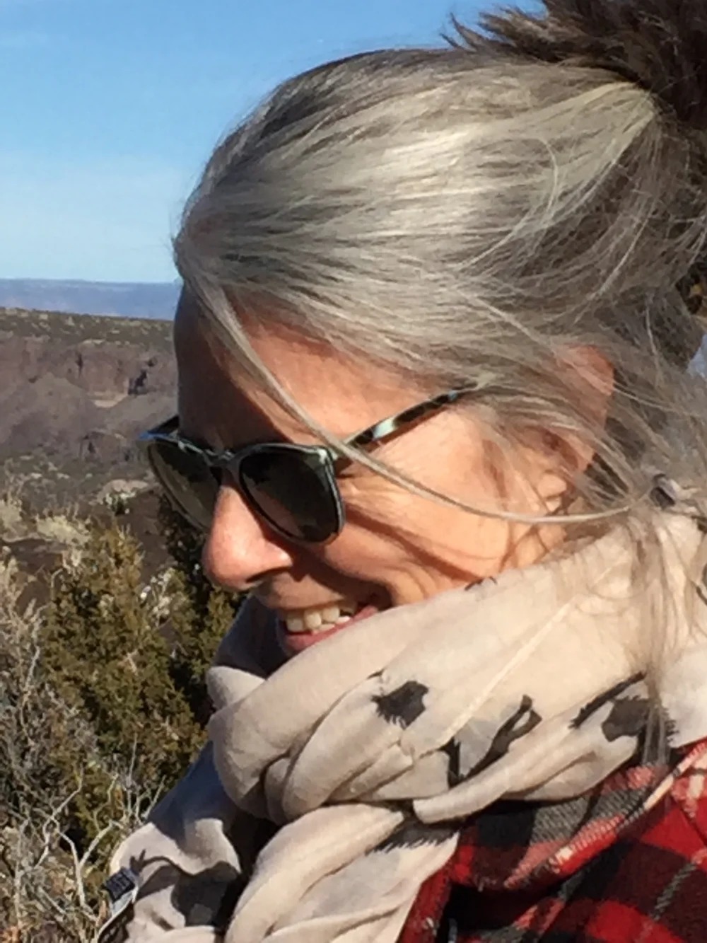 Carol Tippit Woolworth