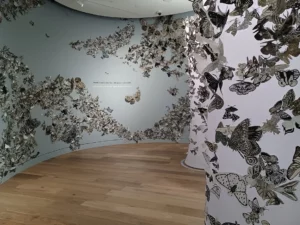 Denver Botancial Garden: Moth Migration Project by Hilary Lorenz 