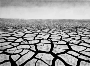 Parched by Melissa Kennelly 