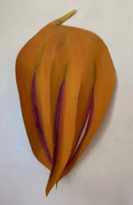 Yucca Flower by Rachel Schali 